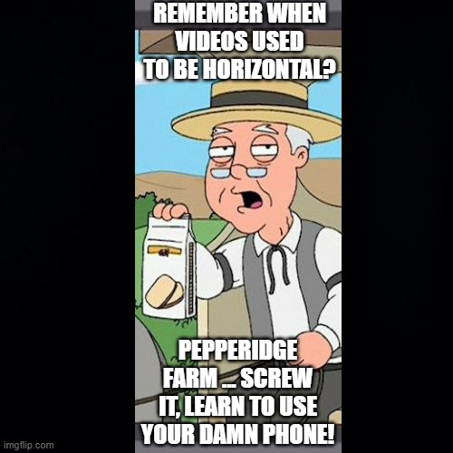Truth. | REMEMBER WHEN VIDEOS USED TO BE HORIZONTAL? PEPPERIDGE FARM ... SCREW IT, LEARN TO USE YOUR DAMN PHONE! | image tagged in pepperidge farm remembers,smartphone | made w/ Imgflip meme maker