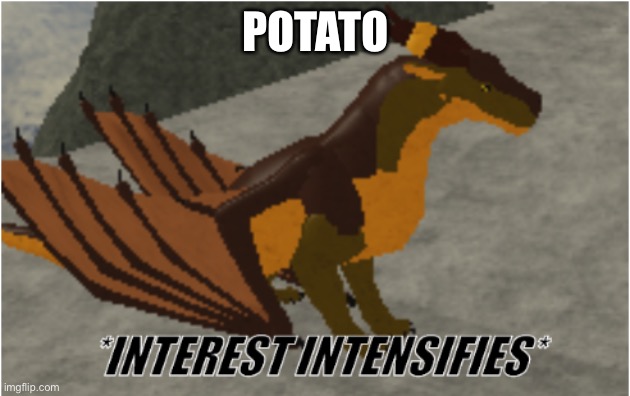 interest intensifies | POTATO | image tagged in interest intensifies | made w/ Imgflip meme maker