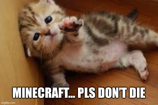 Sad Kitten Goodbye | MINECRAFT... PLS DON’T DIE | image tagged in sad kitten goodbye | made w/ Imgflip meme maker