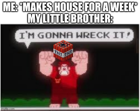 WHAT HAVE YOU DONE, TIMMY!!! | ME: *MAKES HOUSE FOR A WEEK*
MY LITTLE BROTHER: | image tagged in im gonna wreck it | made w/ Imgflip meme maker