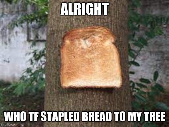 aight | ALRIGHT; WHO TF STAPLED BREAD TO MY TREE | image tagged in bread | made w/ Imgflip meme maker