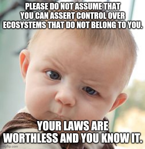 Skeptical Baby Meme | PLEASE DO NOT ASSUME THAT YOU CAN ASSERT CONTROL OVER ECOSYSTEMS THAT DO NOT BELONG TO YOU. YOUR LAWS ARE WORTHLESS AND YOU KNOW IT. | image tagged in memes,skeptical baby | made w/ Imgflip meme maker