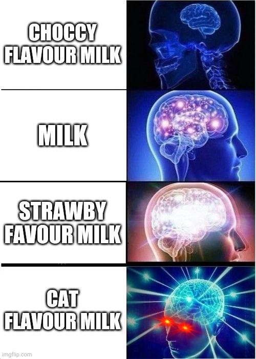 Yum yum my cat tastes delicious | CHOCCY FLAVOUR MILK; MILK; STRAWBY FAVOUR MILK; CAT FLAVOUR MILK | image tagged in memes,expanding brain | made w/ Imgflip meme maker