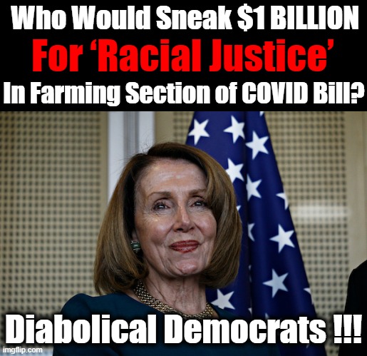 PORKY PIGS | Who Would Sneak $1 BILLION; For ‘Racial Justice’; In Farming Section of COVID Bill? Diabolical Democrats !!! | image tagged in politics,democratic socialism,liberalism,pork,covid 19,government waste | made w/ Imgflip meme maker