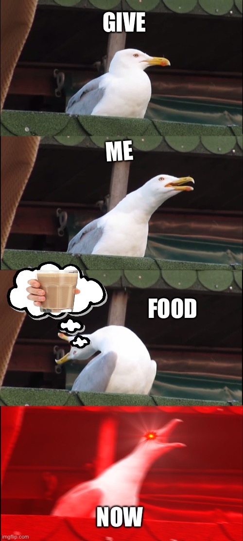 GIVE ME FOOD NOWW | GIVE; ME; FOOD; NOW | image tagged in memes,inhaling seagull | made w/ Imgflip meme maker