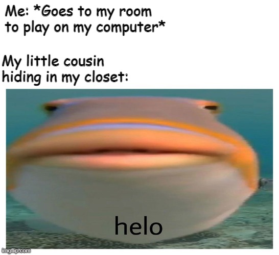Why do cousins do this? | Me: *Goes to my room to play on my computer*; My little cousin hiding in my closet: | image tagged in helo fish,little cousin | made w/ Imgflip meme maker
