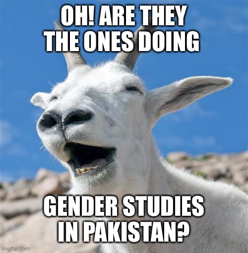 Laughing Goat Meme | OH! ARE THEY THE ONES DOING GENDER STUDIES IN PAKISTAN? | image tagged in memes,laughing goat | made w/ Imgflip meme maker