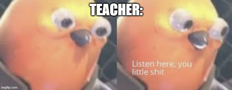 Listen here you little shit bird | TEACHER: | image tagged in listen here you little shit bird | made w/ Imgflip meme maker