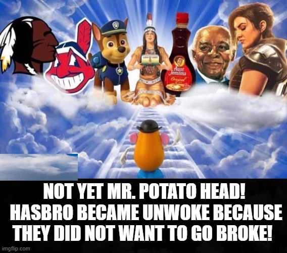 Not Yet Mr. Potato Head! | NOT YET MR. POTATO HEAD!  HASBRO BECAME UNWOKE BECAUSE THEY DID NOT WANT TO GO BROKE! | image tagged in woke,stupid liberals,morons,democrats,idiots | made w/ Imgflip meme maker