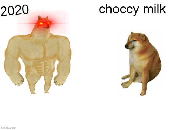 Buff Doge vs. Cheems | choccy milk; 2020 | image tagged in memes,buff doge vs cheems | made w/ Imgflip meme maker