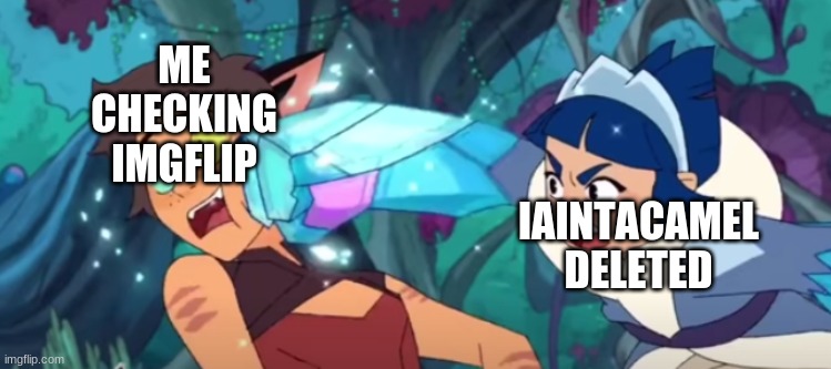 frosta punching catra | ME CHECKING IMGFLIP; IAINTACAMEL DELETED | image tagged in frosta punching catra | made w/ Imgflip meme maker