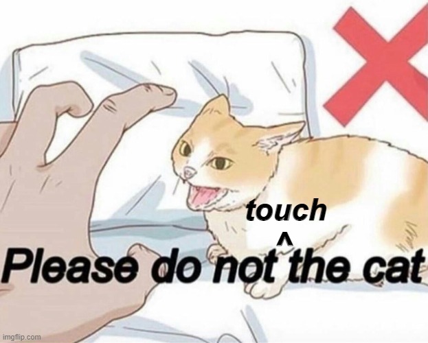 Please do not the cat | touch; ^ | image tagged in please do not the cat | made w/ Imgflip meme maker