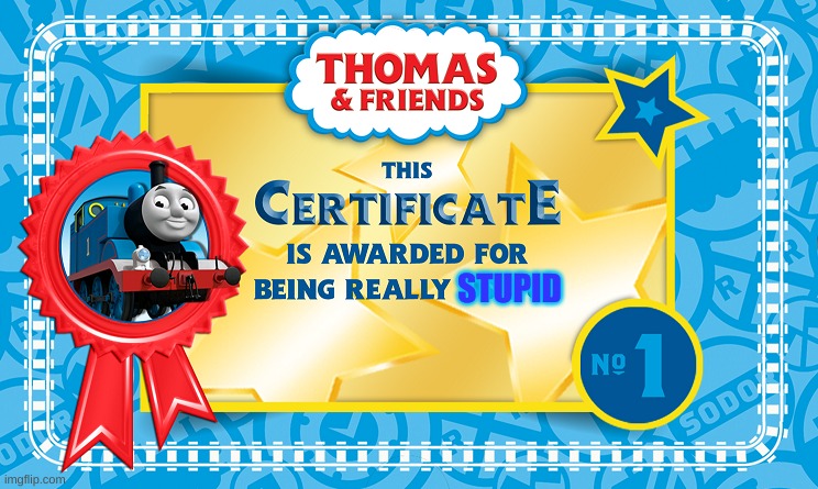 thomas | STUPID | image tagged in thomas certificate | made w/ Imgflip meme maker