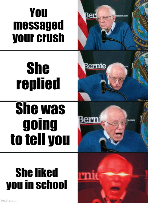 Bernie Sanders reaction (nuked) | You messaged your crush; She replied; She was going to tell you; She liked you in school | image tagged in bernie sanders reaction nuked | made w/ Imgflip meme maker