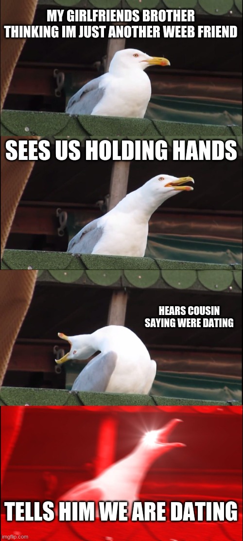 Inhaling Seagull Meme | MY GIRLFRIENDS BROTHER THINKING IM JUST ANOTHER WEEB FRIEND; SEES US HOLDING HANDS; HEARS COUSIN SAYING WERE DATING; TELLS HIM WE ARE DATING | image tagged in memes,inhaling seagull | made w/ Imgflip meme maker