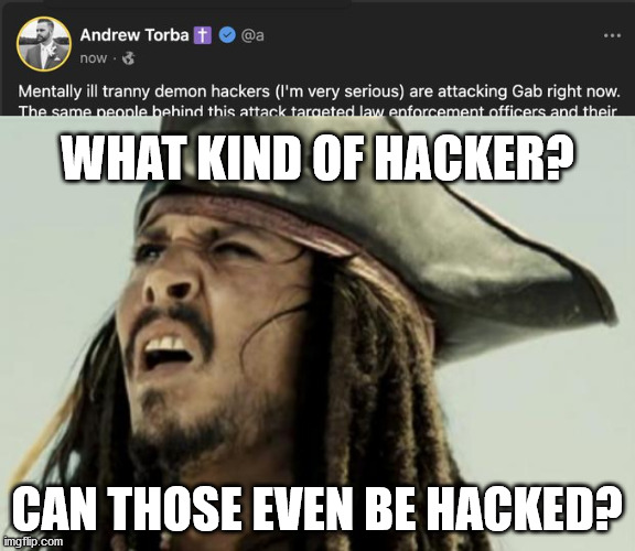 WHAT KIND OF HACKER? CAN THOSE EVEN BE HACKED? | image tagged in confused dafuq jack sparrow what | made w/ Imgflip meme maker