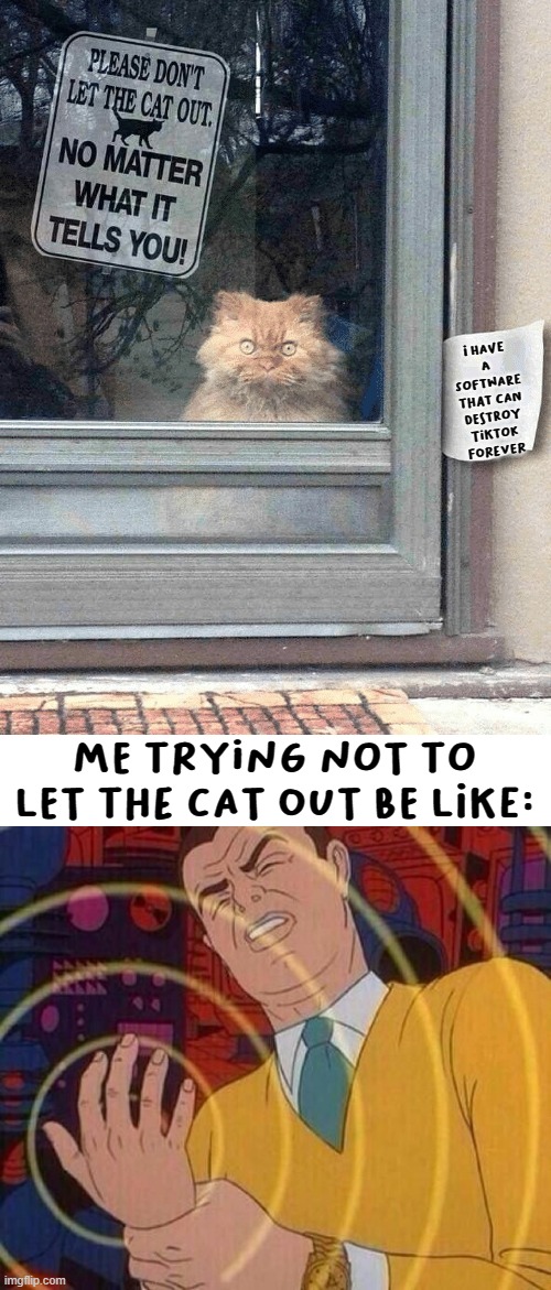 would you rather?? | I have a software that can destroy TIKTOK FOrever; me trying not to let the cat out be like: | image tagged in dont let the cat out,hands,cats,tik tok,tik tok sucks,memes | made w/ Imgflip meme maker