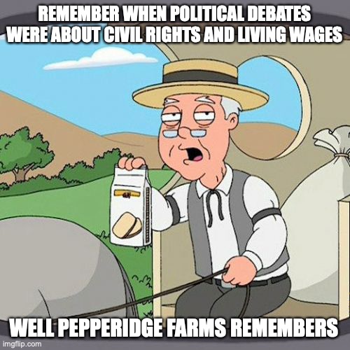 Pepperidge Farm Remembers | REMEMBER WHEN POLITICAL DEBATES WERE ABOUT CIVIL RIGHTS AND LIVING WAGES; WELL PEPPERIDGE FARMS REMEMBERS | image tagged in memes,pepperidge farm remembers | made w/ Imgflip meme maker