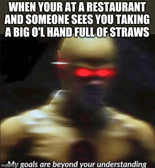 my goals are beyond your understanding | WHEN YOUR AT A RESTAURANT AND SOMEONE SEES YOU TAKING A BIG O'L HAND FULL OF STRAWS | image tagged in my goals are beyond your understanding | made w/ Imgflip meme maker