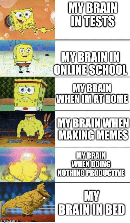 Funniest meme ever | MY BRAIN IN TESTS; MY BRAIN IN ONLINE SCHOOL; MY BRAIN WHEN IM AT HOME; MY BRAIN WHEN MAKING MEMES; MY BRAIN WHEN DOING NOTHING PRODUCTIVE; MY BRAIN IN BED | made w/ Imgflip meme maker
