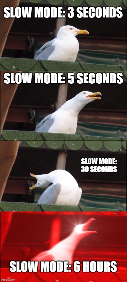 Inhaling Seagull | SLOW MODE: 3 SECONDS; SLOW MODE: 5 SECONDS; SLOW MODE: 30 SECONDS; SLOW MODE: 6 HOURS | image tagged in memes,inhaling seagull | made w/ Imgflip meme maker