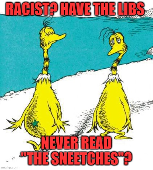 Star-Bellied Sneetches | RACIST? HAVE THE LIBS NEVER READ "THE SNEETCHES"? | image tagged in star-bellied sneeches | made w/ Imgflip meme maker