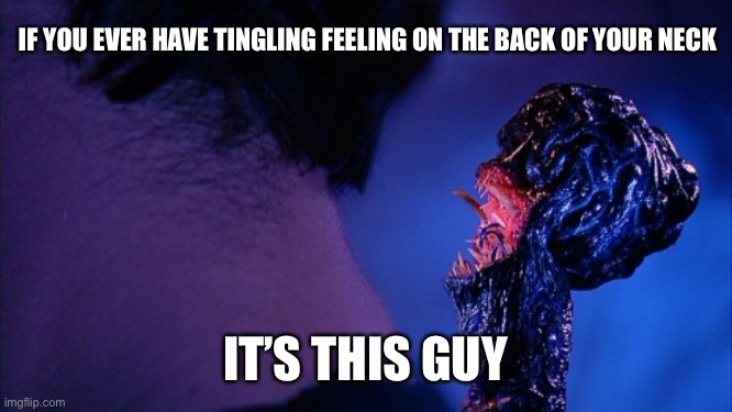 Let’s get that brain wet and tripping |  IF YOU EVER HAVE TINGLING FEELING ON THE BACK OF YOUR NECK; IT’S THIS GUY | image tagged in brain damage | made w/ Imgflip meme maker