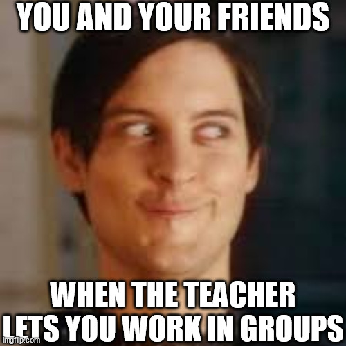 true or not? | YOU AND YOUR FRIENDS; WHEN THE TEACHER LETS YOU WORK IN GROUPS | image tagged in spiderman | made w/ Imgflip meme maker