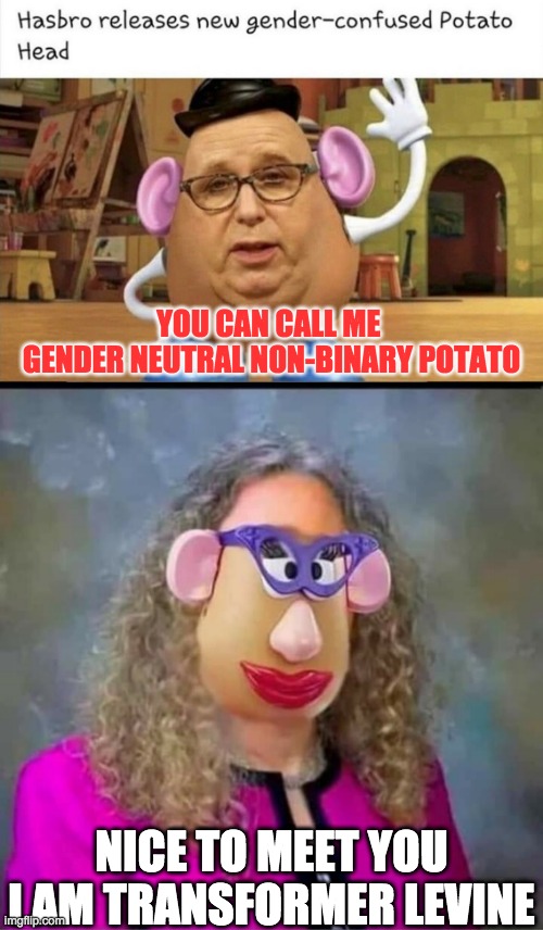 PC works in non-binary ways. It's not all CISHET | YOU CAN CALL ME 
GENDER NEUTRAL NON-BINARY POTATO; NICE TO MEET YOU
I AM TRANSFORMER LEVINE | image tagged in tranny,gender neutral | made w/ Imgflip meme maker