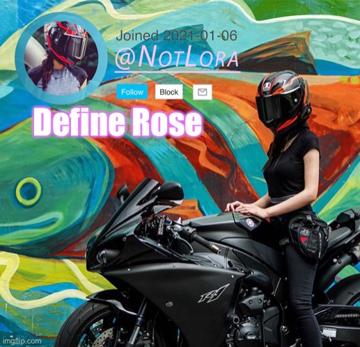 Define this user | Define Rose | image tagged in notlora temp | made w/ Imgflip meme maker