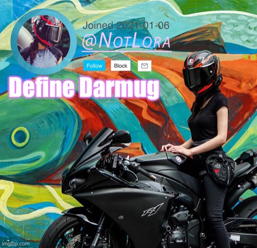 Define this user | Define Darmug | image tagged in notlora temp | made w/ Imgflip meme maker