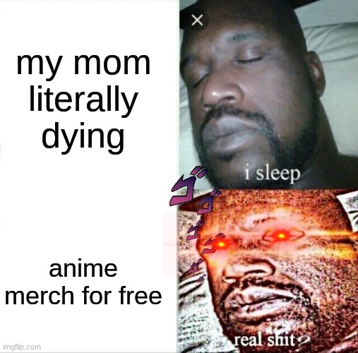 Sleeping Shaq | my mom literally dying; anime merch for free | image tagged in memes,sleeping shaq | made w/ Imgflip meme maker