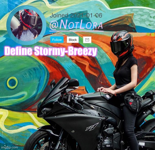 Define this user | Define Stormy-Breezy | image tagged in notlora temp | made w/ Imgflip meme maker