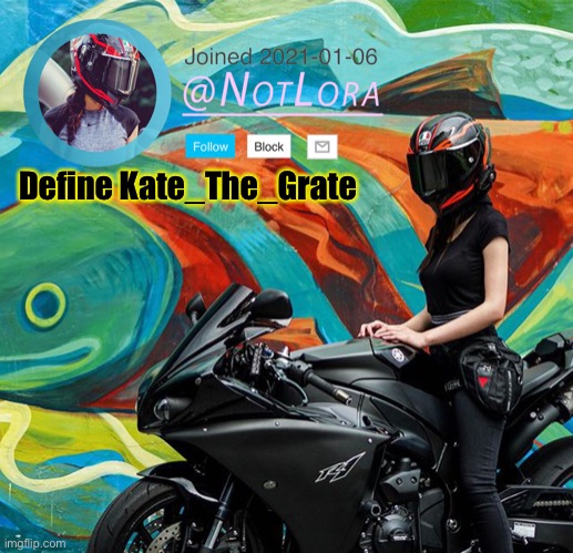 Define this user | Define Kate_The_Grate | image tagged in notlora temp | made w/ Imgflip meme maker