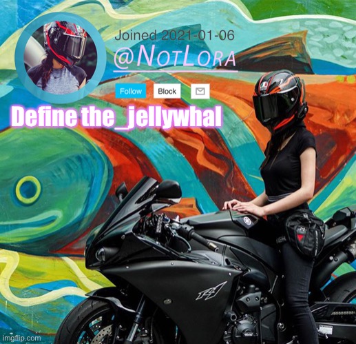 Define this user | Define the_jellywhal | image tagged in notlora temp | made w/ Imgflip meme maker