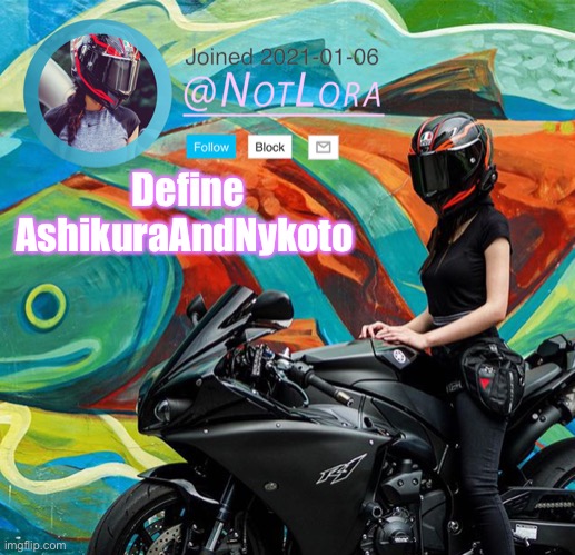 Define this user | Define AshikuraAndNykoto | image tagged in notlora temp | made w/ Imgflip meme maker