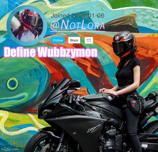 Define this user | Define Wubbzymon | image tagged in notlora temp | made w/ Imgflip meme maker