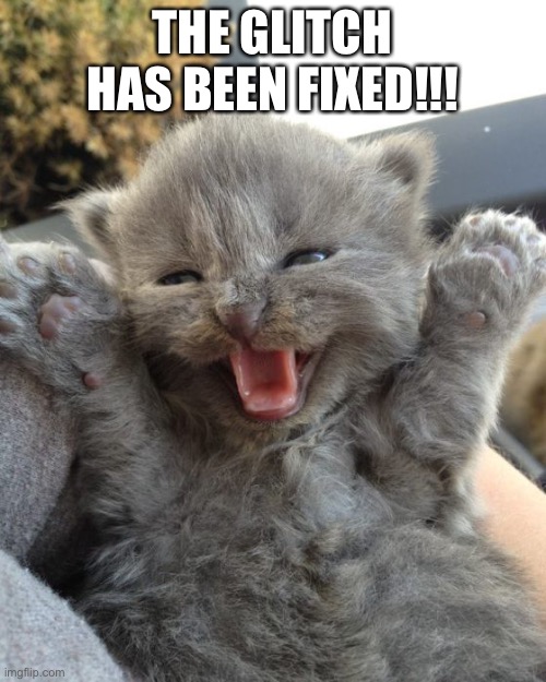 Yay! | THE GLITCH HAS BEEN FIXED!!! | image tagged in yay kitty,imgflip,glitch | made w/ Imgflip meme maker