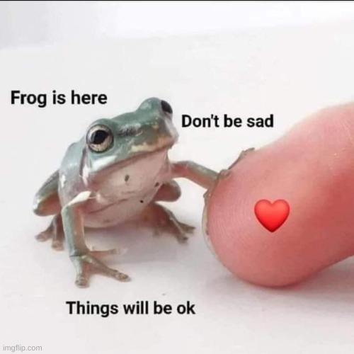 frog is her 4 u | image tagged in wholesome | made w/ Imgflip meme maker