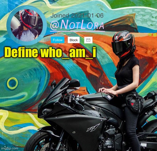 Define him | Define who_am_i | image tagged in notlora temp | made w/ Imgflip meme maker