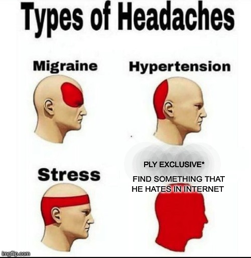 Types of Headaches meme | PLY EXCLUSIVE*; FIND SOMETHING THAT HE HATES IN INTERNET | image tagged in types of headaches meme,headache,ply,internet,hate | made w/ Imgflip meme maker