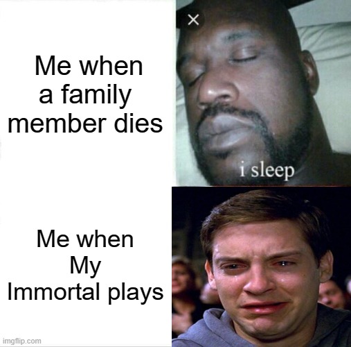 yes, it's true | Me when a family member dies; Me when My Immortal plays | image tagged in memes,sleeping shaq | made w/ Imgflip meme maker