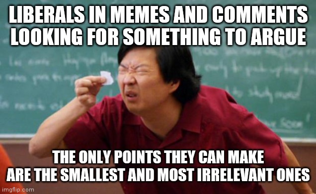 Tiny piece of paper | LIBERALS IN MEMES AND COMMENTS LOOKING FOR SOMETHING TO ARGUE; THE ONLY POINTS THEY CAN MAKE ARE THE SMALLEST AND MOST IRRELEVANT ONES | image tagged in tiny piece of paper,liberal logic,memes,politics,lame | made w/ Imgflip meme maker
