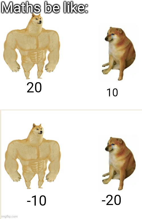 yes integers | Maths be like:; 20; 10; -20; -10 | image tagged in memes,buff doge vs cheems | made w/ Imgflip meme maker