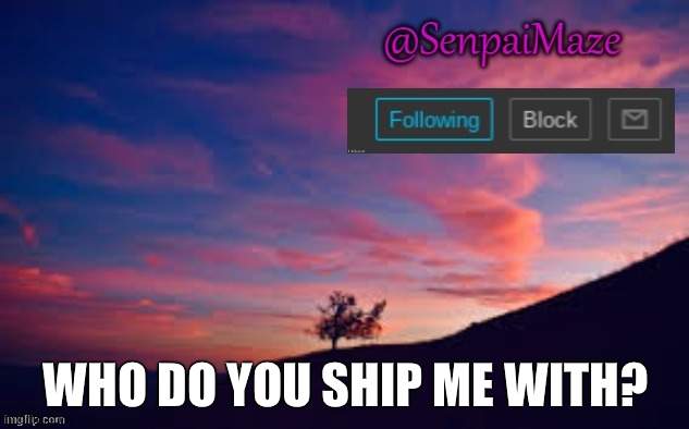 sunset | WHO DO YOU SHIP ME WITH? | image tagged in sunset | made w/ Imgflip meme maker