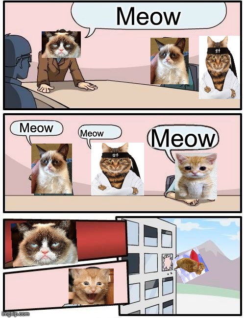 Boardroom Meeting Suggestion | Meow; Meow; Meow; Meow | image tagged in memes,boardroom meeting suggestion | made w/ Imgflip meme maker