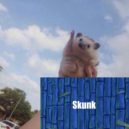 Let's go! Skunk? | image tagged in lets go,spongebob lets go | made w/ Imgflip meme maker