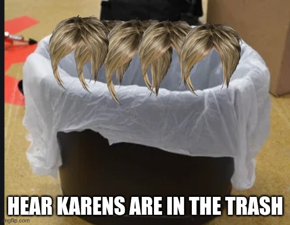 Trash can | HEAR KARENS ARE IN THE TRASH | image tagged in trash can | made w/ Imgflip meme maker