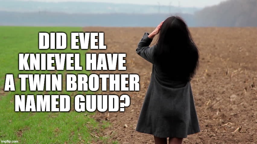 I wonder if anyone will get this? | DID EVEL KNIEVEL HAVE A TWIN BROTHER NAMED GUUD? | image tagged in girl in a field looking thoughtfully into the distance,1970s,funny names,pun | made w/ Imgflip meme maker