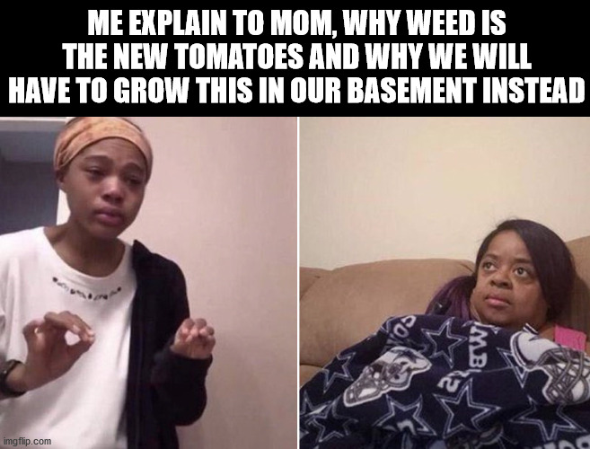 Grow weed they said; it will be fun they said. | ME EXPLAIN TO MOM, WHY WEED IS THE NEW TOMATOES AND WHY WE WILL HAVE TO GROW THIS IN OUR BASEMENT INSTEAD | image tagged in me explaining to my mom | made w/ Imgflip meme maker